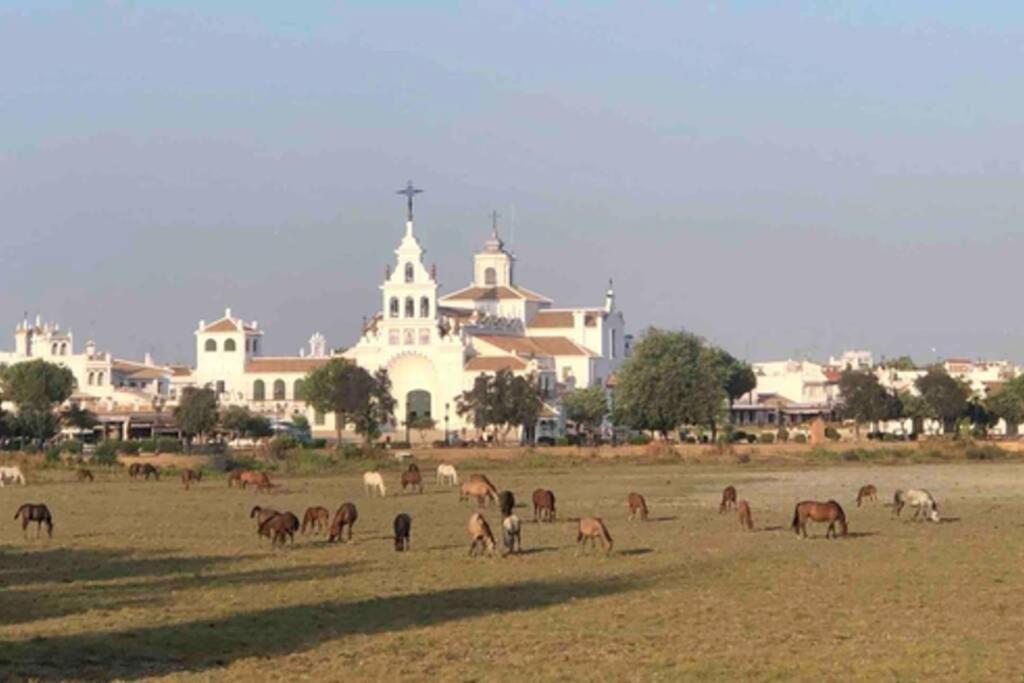 Casa Luz Del Rocio Refugio Con Alma A 8 Minutos De La Ermita Appartement *